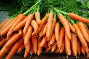 This is a photo of carrots.