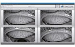 ks fam optometry 0000 OKM | Andover & Winfield Family Optometry